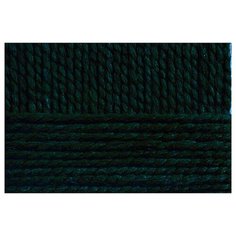 Пряжа для вязания ПЕХ "Смесовая" (70% акрил высокообъемный, 30% шерсть) 5х200г/200м цв.002 черный Пехорка