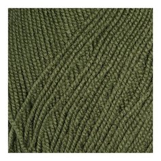 Пряжа для вязания ПЕХ "Бисерная" (100% акрил) 5х100г/450м цв.038 полынь Пехорка