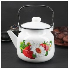 Чайник 3,5 л "Клубничная поляна" Эмаль