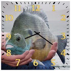 SvS Настенные часы SvS 3502090 Рыба СВС