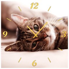 SvS Настенные часы SvS 3501868 Лежащий кот СВС
