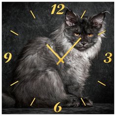 SvS Настенные часы SvS 3002088 Пепельный кот СВС