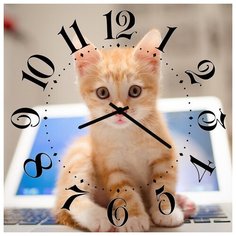 SvS Настенные часы SvS 3002033 Рыжий котенок СВС