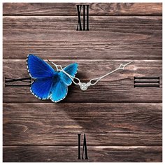 SvS Настенные часы SvS 3003146 СВС