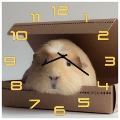 SvS Настенные часы SvS 3502073 Хомяк СВС