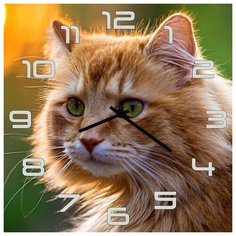 SvS Настенные часы SvS 3501854 Красивый рыжий кот СВС