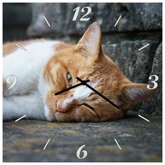 SvS Настенные часы SvS 3501852 Дремлющий рыжий кот СВС