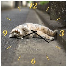 SvS Настенные часы SvS 4001850 Кот валяется на дороге СВС