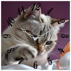 SvS Настенные часы SvS 3003197 СВС