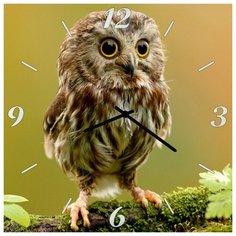 SvS Настенные часы SvS 3001872 А я думала это Сова СВС