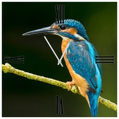 SvS Настенные часы SvS 3003157 СВС