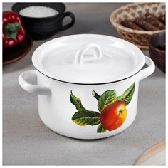 Кастрюля 2 л, 01-1610.1/4, цвет микс Эмаль