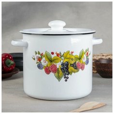 Кастрюля 5,5 л, пластмассовая ручка, рисунок микс Сибирские товары