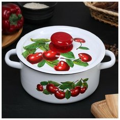 Кастрюля 2 л, с декором, пластмассовая ручка, рисунок микс Сибирские товары