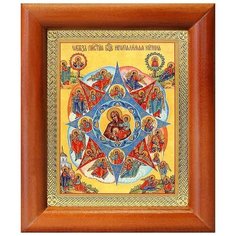 Икона Божией Матери "Неопалимая Купина", рамка 8*9,5 см Соборъная лавка