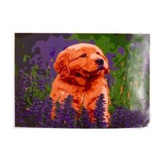 Раскраска на картоне A4 (в конверте). Щенок в лавандовом поле (Арт. Р-2379) Рыжий кот