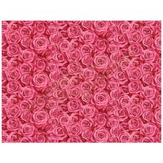 Славянские обои Роза 305-02 Слав