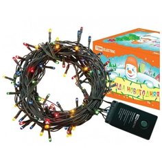 Гирлянда новогодняя, МГ 200, 220 В, многоцветная, 10 м, 8 режимов TDM Еlectric
