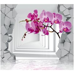 Фотообои 3D цветы орхидеи в пространстве/ Красивые уютные обои на стену в интерьер комнаты/ 3Д расширяющие пространство над кроватью или над столом/ На кухню в спальню детскую зал гостиную прихожую/ размер 300х270см/ Флизелиновые