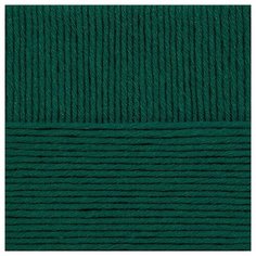 Пряжа для вязания ПЕХ "Молодёжная" (91% акрил высокообъемный, 9% полиамид) 5х200г/280м цв.573 т.изумруд Пехорка