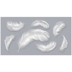 Фотообои Перья в серых тонах/ Красивые уютные обои на стену в интерьер комнаты/ 3Д расширяющие пространство над кроватью или над столом/ На кухню в спальню детскую зал гостиную прихожую/ размер 500х270см/ Флизелиновые