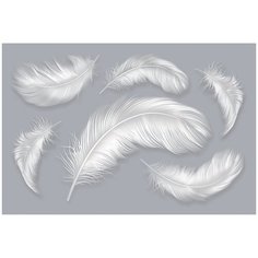 Фотообои Перья в серых тонах/ Красивые уютные обои на стену в интерьер комнаты/ 3Д расширяющие пространство над кроватью или над столом/ На кухню в спальню детскую зал гостиную прихожую/ размер 400х270см/ Флизелиновые