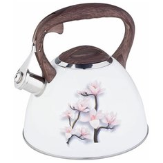 Чайник со свистком ZEIDAN Z-4218 3,0 л нержавейка