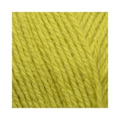 Пряжа для вязания ПЕХ "Уютная" (85% акрил, 15% полиамид) 5х100г/230м цв.037 липа Пехорка