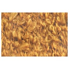 Пряжа для вязания ПЕХ "Буклированная" (30% мохер, 20% тонкая шерсть, 50% акрил) 5х200г/220м цв.447 горчица Пехорка