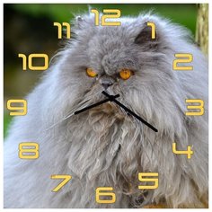 SvS Настенные часы SvS 3002049 Серьезный кот СВС