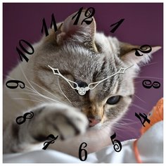 SvS Настенные часы SvS 4003197 СВС