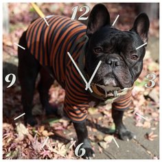 SvS Настенные часы SvS 4001864 Пес в тельняжке СВС