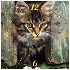 SvS Настенные часы SvS 3501840 Котик СВС