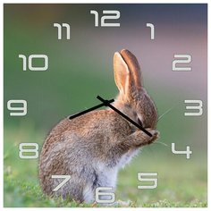SvS Настенные часы SvS 3502061 Заяц чистюля СВС