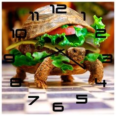 SvS Настенные часы SvS 4002514 Черепахобутерброд СВС