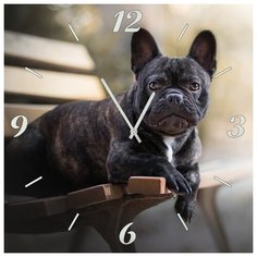 SvS Настенные часы SvS 4001860 Черный пес СВС