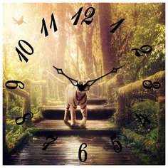 SvS Настенные часы SvS 3503194 СВС