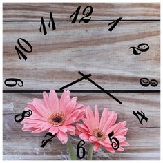 SvS Настенные часы SvS 4003101 СВС