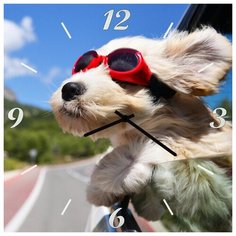 SvS Настенные часы SvS 3502039 Собака в очках СВС