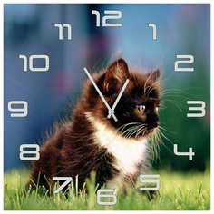 SvS Настенные часы SvS 3001846 Черно-белый котенок СВС