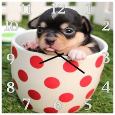SvS Настенные часы SvS 3501848 Песик в чашке СВС