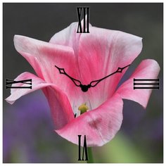 SvS Настенные часы SvS 3003191 СВС