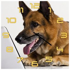 SvS Настенные часы SvS 3002029 Овчарка за ноутбуком СВС