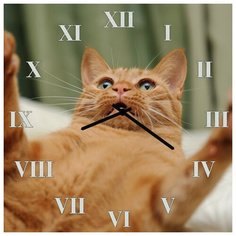 SvS Настенные часы SvS 3001876 Кот поймай СВС