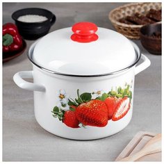 Кастрюля 4,5 л «Грибная поляна» Лысьвенские эмали