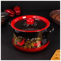 Кастрюля 8 л, рисунок и ручка микс Сибирские товары