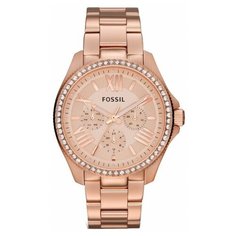 Наручные часы Fossil AM4483