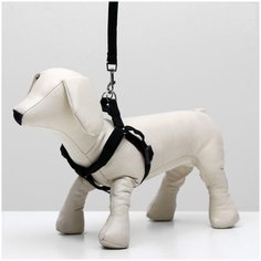 Шлейка для собак, поводок для собак Комплект "Базис", поводок 120*1,5 см, шлейка 32-46*1,5 см, чёрный Пижон