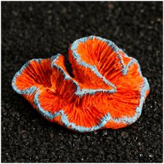 Декор для аквариума "Коралл", 11*9*5,5 см Сима ленд