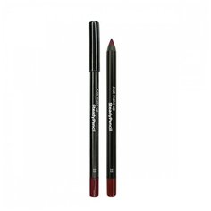 Just Карандаш для губ Устойчивый Steady Pencil 33
